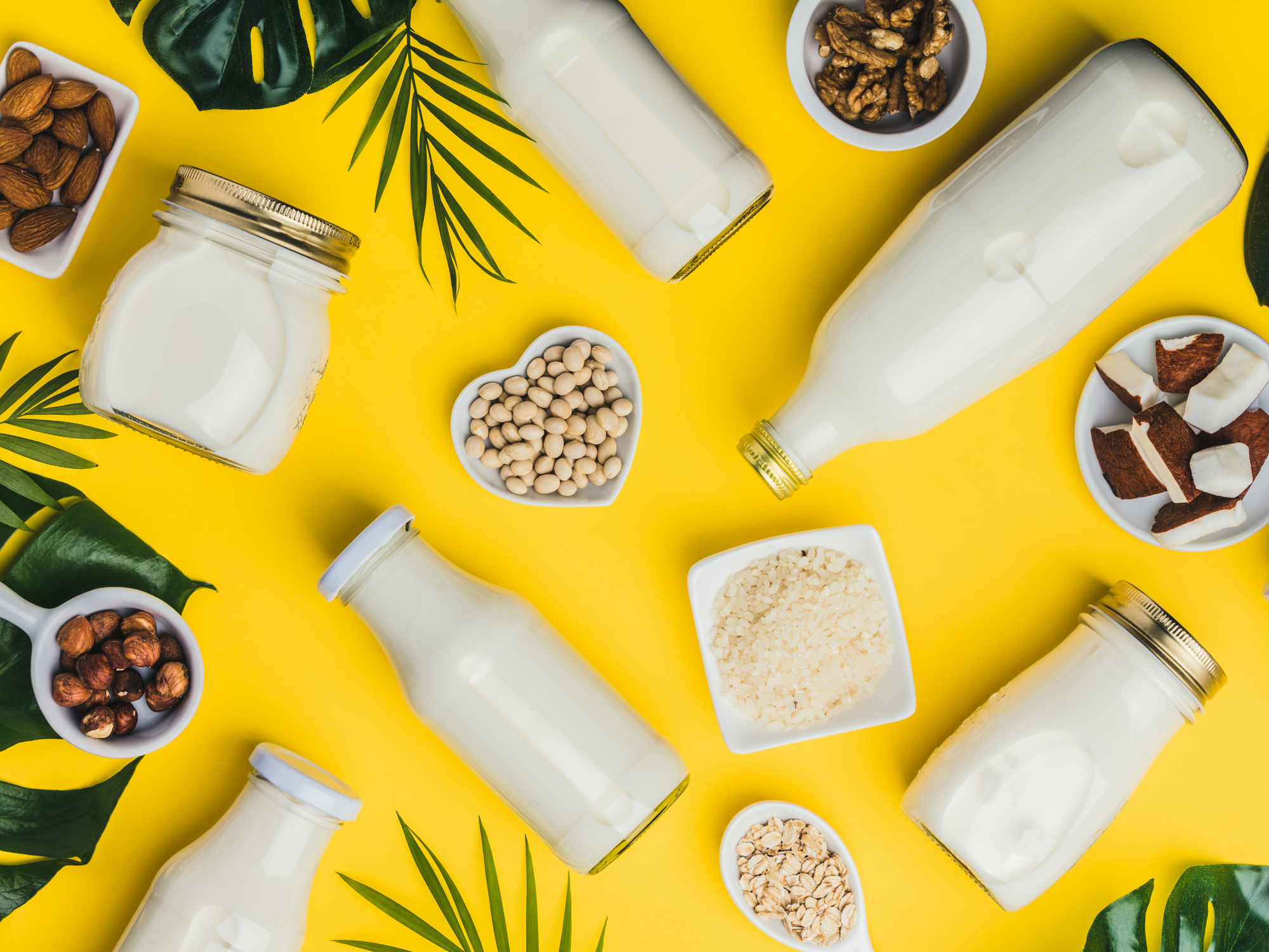 Embracing the Dairy-Free Lifestyle: Insights for a Smooth Transition
